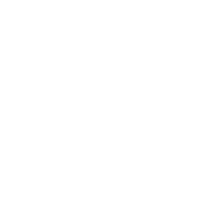 phonostar